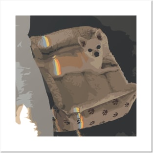 rainbow chihuahua Posters and Art